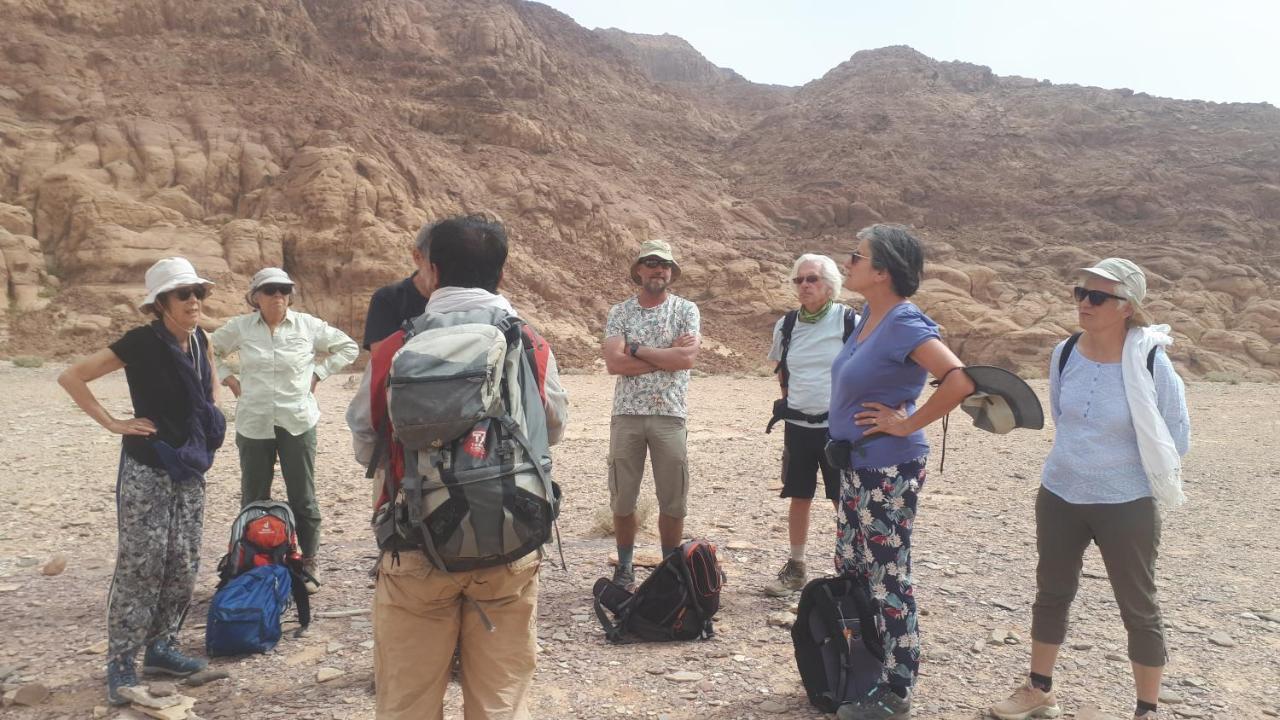 Wadi Rum Under Stars Exterior photo