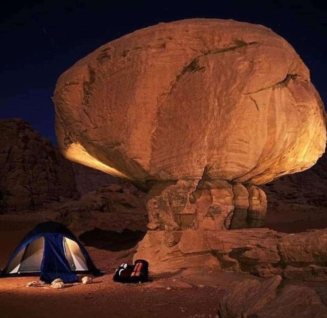 Wadi Rum Under Stars Exterior photo